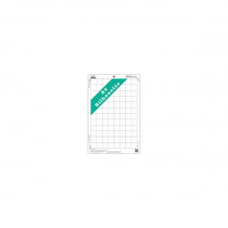 Kit 10 Bases de Corte Original Power Film - A4 Silhouette Portrait e Cameo 