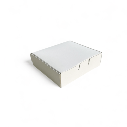 Caixa Branca REF03 18x16x5 - 500un